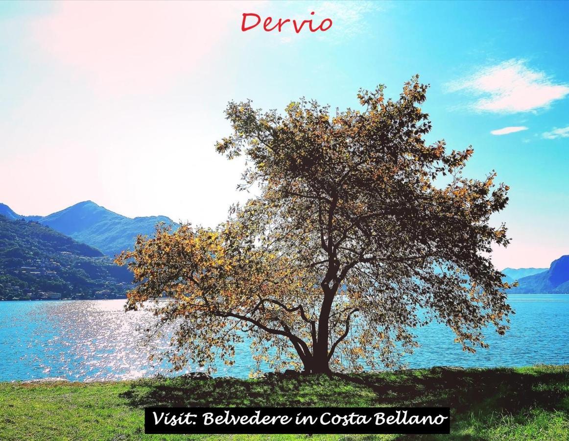 Belvedere In Costa - Lake View Bellano Dış mekan fotoğraf